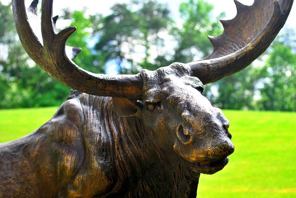Lifelike Moose Statue