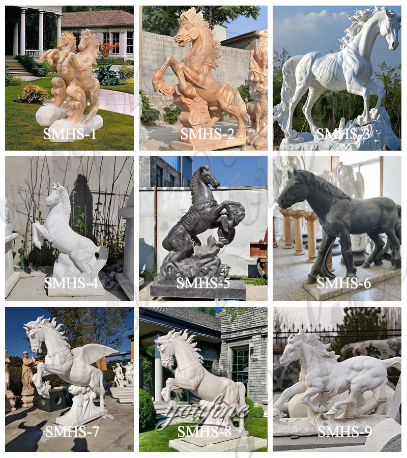 other horses